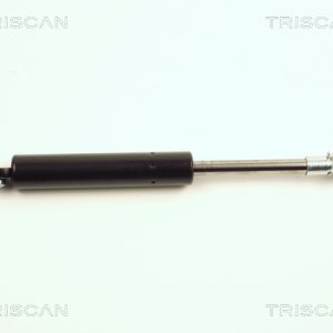Amortizor portbagaj TRISCAN 8710 25212 – RENAULT | AutoRival