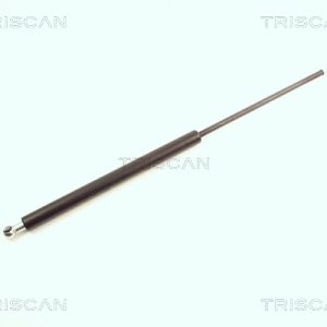 Amortizor portbagaj TRISCAN 8710 25222 – RENAULT | AutoRival