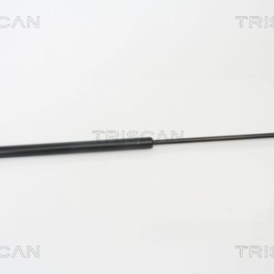 Amortizor portbagaj TRISCAN 8710 25228 – RENAULT | AutoRival