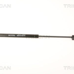 Amortizor luneta TRISCAN 8710 25247 – RENAULT | AutoRival