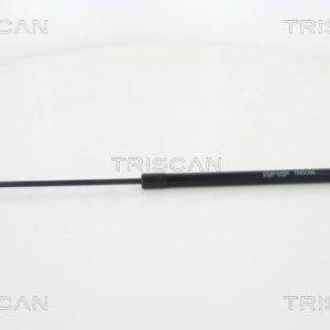 Amortizor portbagaj TRISCAN 8710 25257 – RENAULT | AutoRival