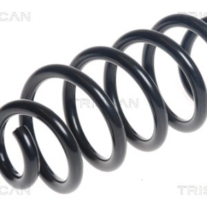 Arc spiral TRISCAN 8750 25128 – RENAULT | AutoRival
