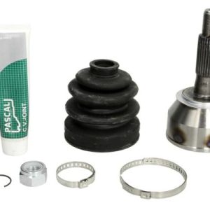 Cap planetara PASCAL G1R008PC – RENAULT | AutoRival