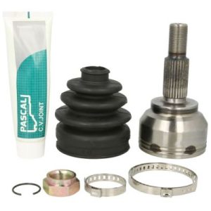 Cap planetara PASCAL G1R036PC – RENAULT | AutoRival