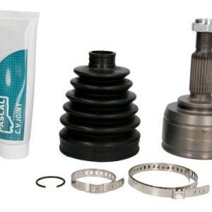 Cap planetara PASCAL G1R051PC – RENAULT | AutoRival