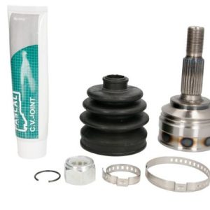 Cap planetara PASCAL G1R052PC – RENAULT | AutoRival