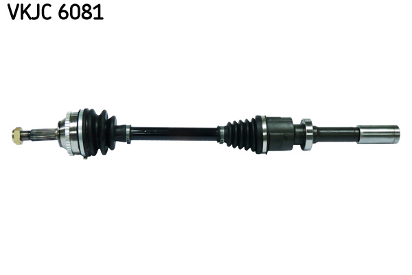 Planetara SKF VKJC 6081