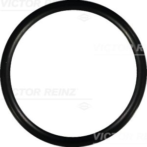 Garnitura galerie admisie VICTOR REINZ 40-76752-00 – RENAULT | AutoRival