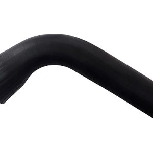 Furtun aer supraalimentare BUGIAD 81689 – RENAULT | AutoRival