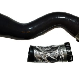 Furtun aer supraalimentare BUGIAD 81744 – RENAULT | AutoRival