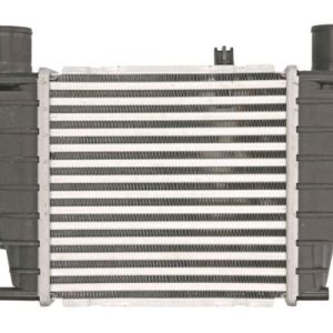 Intercooler compresor THERMOTEC DA1003TT – RENAULT | AutoRival