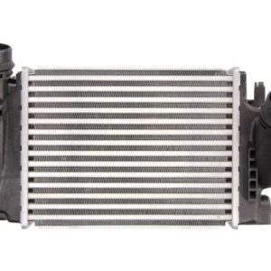 Intercooler compresor THERMOTEC DA1005TT – RENAULT | AutoRival