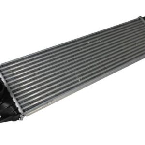 Intercooler compresor THERMOTEC DAR003TT – RENAULT | AutoRival