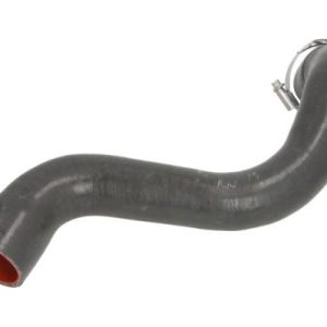 Furtun aer supraalimentare THERMOTEC DCR201TTS – RENAULT | AutoRival