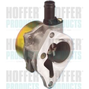 Pompa vacuum sistem de franare HOFFER 8091051 – RENAULT | AutoRival