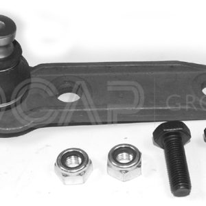 Pivot OCAP 0404612 – RENAULT | AutoRival