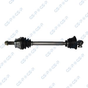 Planetara GSP 250010 – RENAULT | AutoRival
