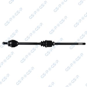 Planetara GSP 250011 – RENAULT | AutoRival