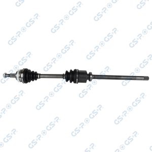 Planetara GSP 250019 – RENAULT | AutoRival