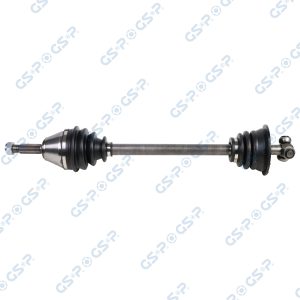 Planetara GSP 250048 – RENAULT | AutoRival