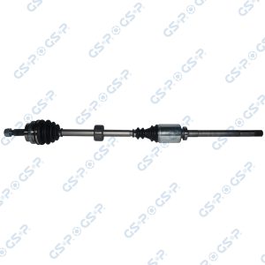 Planetara GSP 250060 – RENAULT | AutoRival