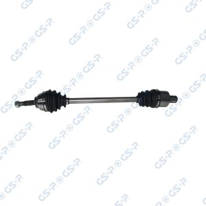 Planetara GSP 250063 – RENAULT | AutoRival