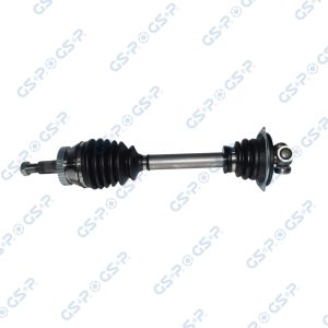 Planetara GSP 250225 – RENAULT | AutoRival