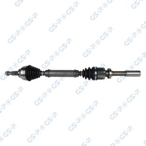 Planetara GSP 250226 – RENAULT | AutoRival