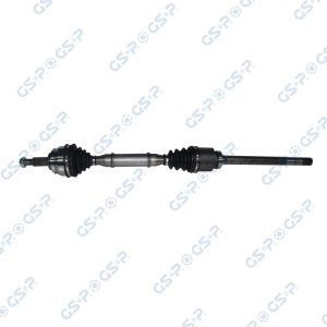 Planetara GSP 250228 – RENAULT | AutoRival