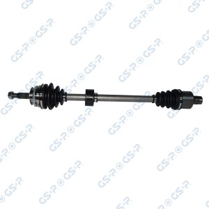 Planetara GSP 250254 – RENAULT | AutoRival