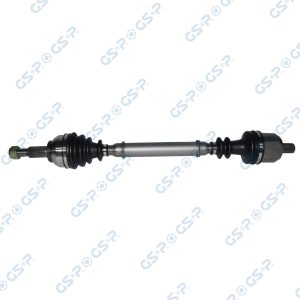 Planetara GSP 250328 – RENAULT | AutoRival