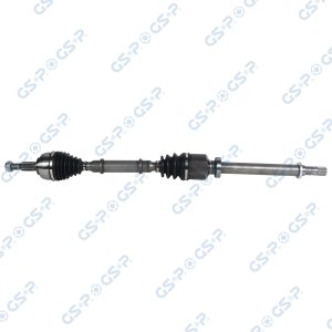Planetara GSP 250442 – RENAULT | AutoRival
