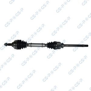 Planetara GSP 250454 – RENAULT | AutoRival