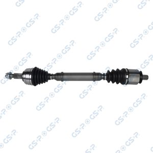 Planetara GSP 250632 – RENAULT | AutoRival