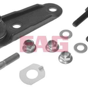 Pivot FAG 825 0163 10 – RENAULT | AutoRival