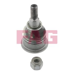 Pivot FAG 825 0164 10 – RENAULT | AutoRival