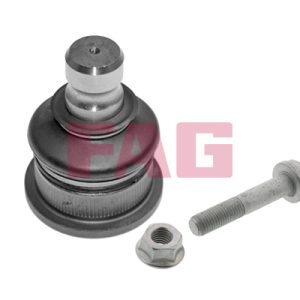Pivot FAG 825 0168 10 – RENAULT | AutoRival