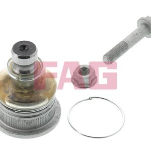 Pivot FAG 825 0245 10 – RENAULT | AutoRival