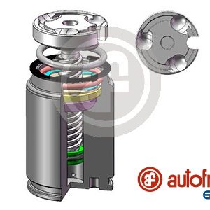 Piston etrier frana AUTOFREN SEINSA D02545LK – RENAULT | AutoRival