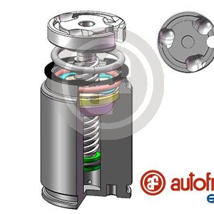 Piston etrier frana AUTOFREN SEINSA D02545RK – RENAULT | AutoRival
