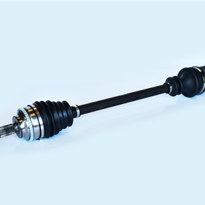 Planetara ASAM AUTOMOTIVE 75704 – RENAULT | AutoRival