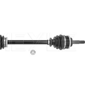 Planetara MEYLE 16-14 498 0040 – RENAULT | AutoRival