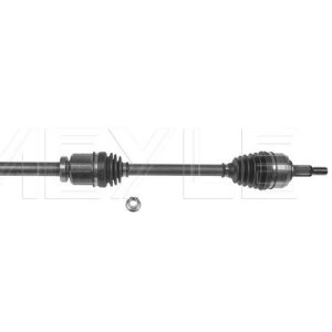 Planetara MEYLE 16-14 498 0149 – RENAULT | AutoRival