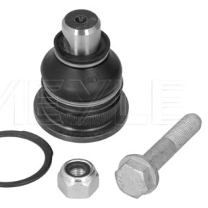 Pivot MEYLE 16-16 010 0004/S – RENAULT | AutoRival