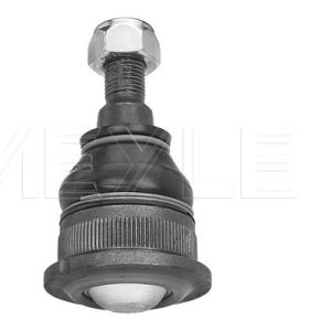 Pivot MEYLE 16-16 010 0008 – RENAULT | AutoRival