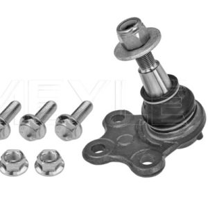 Pivot MEYLE 16-16 010 0011 – RENAULT | AutoRival
