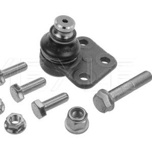 Pivot MEYLE 16-16 010 0012 – RENAULT | AutoRival