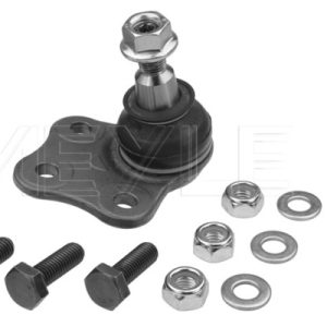 Pivot MEYLE 16-16 010 0014 – RENAULT | AutoRival