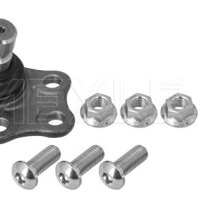 Pivot MEYLE 16-16 010 0034 – RENAULT | AutoRival
