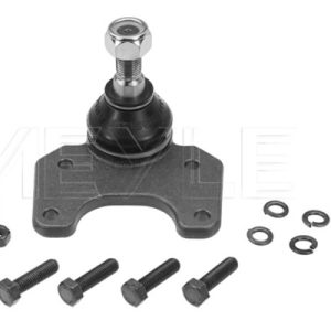Pivot MEYLE 16-16 010 4281 – RENAULT | AutoRival